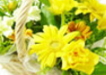 �e�R�[�X�Љ�